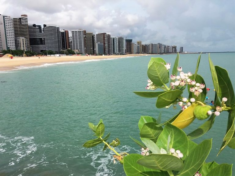 SEMA abre inscrições para programa de Certificação Praia Limpa