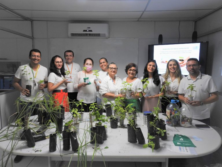 Gerência das Bacias Metropolitanas realiza distribuição de mudas medicinais aos colaboradores da Cogerh